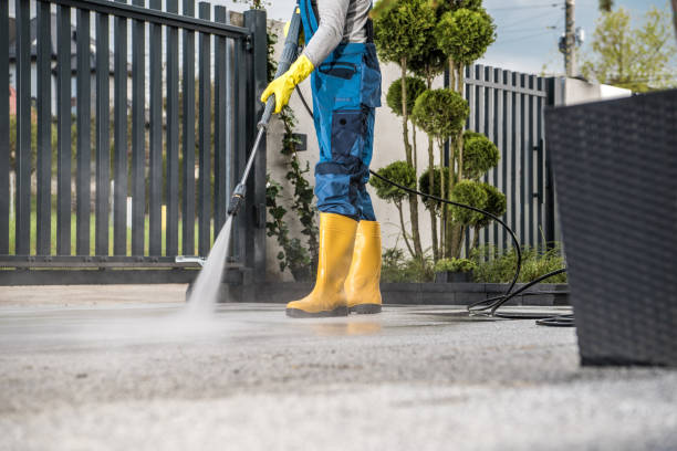 Best Driveway Pressure Washing  in Roaming Shores, OH
